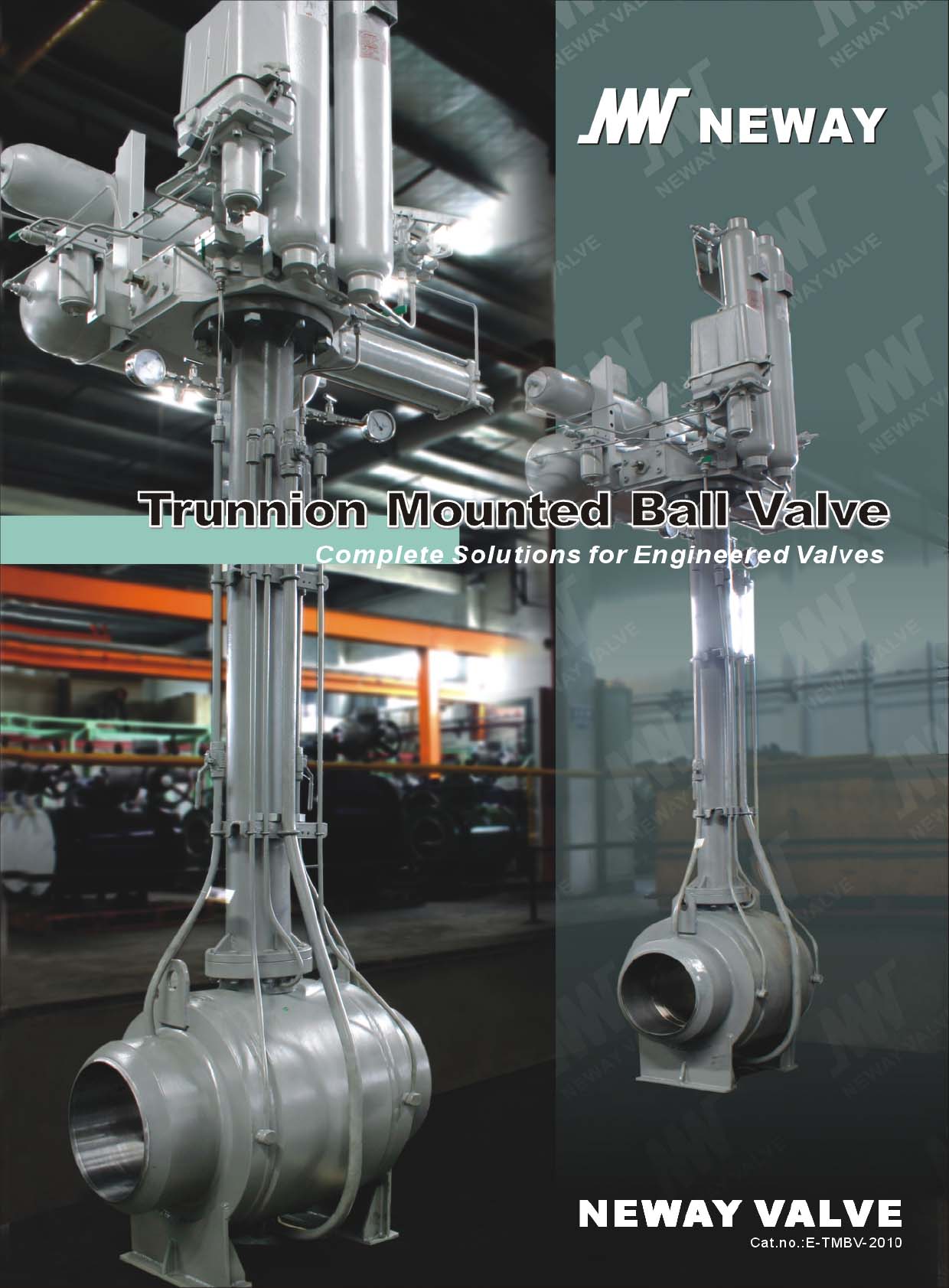 ~yTNEWAY VALVETrunnion Mounted Ball Valve